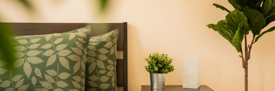 banner-2